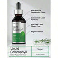 Horbäach Liquid Chlorophyll Drops |   2 Oz |   Vegan, Non-GMO, And Gluten Free Formula |   Natural Peppermint Flavor - 3PCS