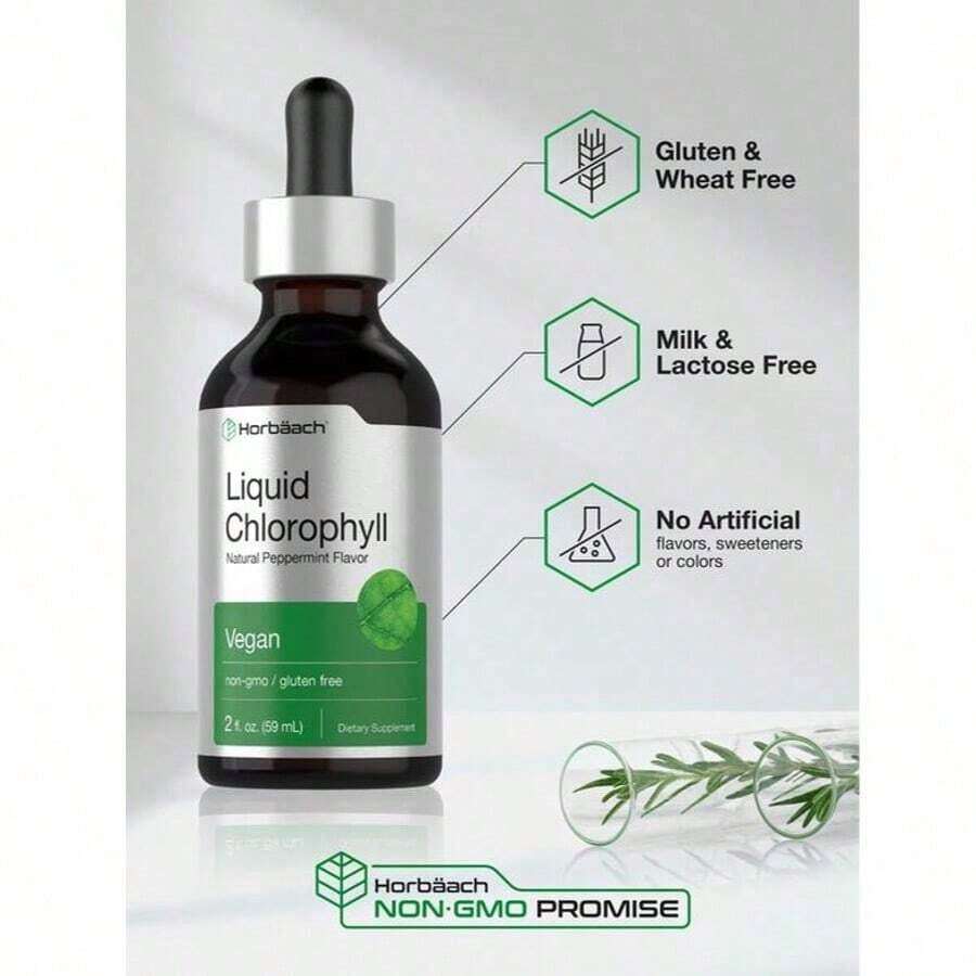 Horbäach Liquid Chlorophyll Drops |   2 Oz |   Vegan, Non-GMO, And Gluten Free Formula |   Natural Peppermint Flavor - 1PCS