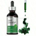 Horbäach Liquid Chlorophyll Drops |   2 Oz |   Vegan, Non-GMO, And Gluten Free Formula |   Natural Peppermint Flavor - 3PCS