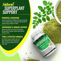 1200mg Moringa Capsules -Pure MoringaPowder For Lmmune, Gut Health Rich In EssentialVitamins, Minerals & Plant Protein TosupportEnergy, Wellness & Vitality 90 Capsules Natural Formula - 3 Bottles