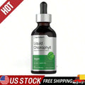 Liquid Chlorophyll Drops With Refreshing Mint |   Concentrated Plant Extract, 2 Oz Bottle - 1