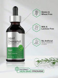 Liquid Chlorophyll Drops With Refreshing Mint |   Concentrated Plant Extract, 2 Oz Bottle - 2