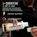 Cutler Nutrition Liquid L-Carnitine Supplement With Acetyl L-Carnitine & L-Carnitine Tartrate Forms - Pre Workout Formula For Optimal Absorption, Energy & Muscle Support, Buzz'in Orange Flavor[Free Shipping ](2026 Latest Version) - 3PCS