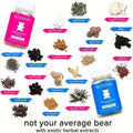 BEARVANA Berry Gummies For Women - All-In-One Nutrition |   Herbal Boost Multivitamin With Daily Fitness Support |   2-Pack Value With Free Shipping - 1