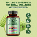 BUPORAI Soursop Shilajit Sea Moss Lion's Mane - Has Natural Antioxidant Properties To Boost Immunity And Support Cell Regeneration - 120pcs - 3 Bottle