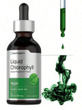 Horbäach Liquid Chlorophyll Drops|   2 Oz|   Vegan, Non-GMO, And Gluten Free Formula|   Natural Peppermint Flavor - Default Color