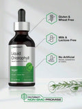 Horbäach Liquid Chlorophyll Drops|   2 Oz|   Vegan, Non-GMO, And Gluten Free Formula|   Natural Peppermint Flavor - 1