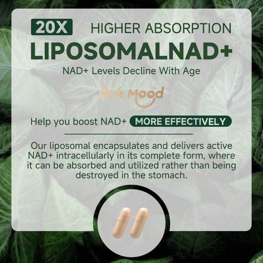 Quitmood NR1000Supplement -Liposomal Nicotinamide Riboside,Resveratrol,Quercetin By Quitmood- High PurityNAD Supplement For Skin Aging Support, Energyand Focus -80 Capsules Healthcare FitnessDietary Edible - 3