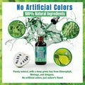 Vyxion Soursop Bitters – 2 Fl Oz – 10 Herbs For Explosive Detox & Intimate Vitality – Sea Moss, Ashwagandha – Boost Stamina & Desire – Vegan – Limited Time Offer 3-Pack - Default Color