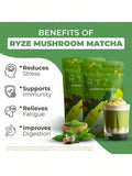 Mushroom Matcha, 6 Adaptogenic Mushrooms With Ceremonial-Grade Japanese Matcha, Organic, 60 Servings - 2-pack