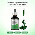 Horbäach Liquid Chlorophyll Drops |   2 Oz |   Vegan, Non-GMO, And Gluten Free Formula |   Natural Peppermint Flavor - 3PCS