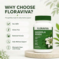 FLORAVIVA Rhodiola Rosea 500mg Capsules, Rhodiola Extract Supplement With 3% Salidrosides & 1% Rosavins, Natural Energy, Stress Support, Mental Clarity, Focus & Immune Wellness Support, Vegan Gluten Free, 60 Capsules - 1bottel