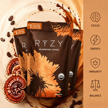 Make Your Day - Mushroom Coffee With 6 Adaptogenic Mushrooms And MCT Oil For Better Energy, Focus, Digestion, Lmmunity With Turkey Tail, Shiitake, Lion's Mane - Default Color